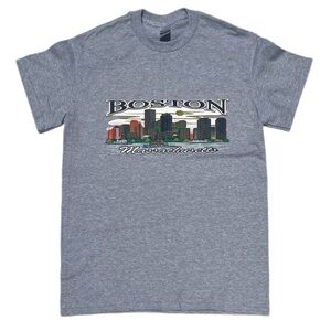 Boston Massachusetts landscape city size small grey and green t shirt